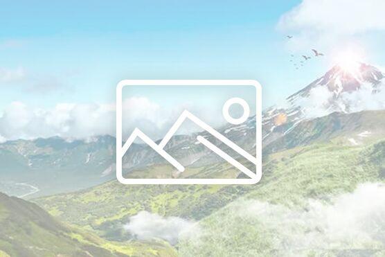 GlodWharf黄金码头加盟图片