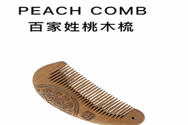 脑子进水创意店加盟