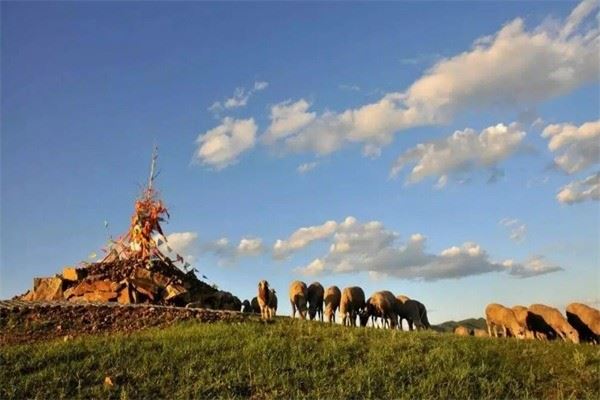 达善旅游加盟 达善旅游加盟