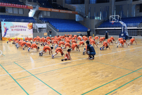 张卫平篮球训练营加盟 张卫平篮球训练营加盟