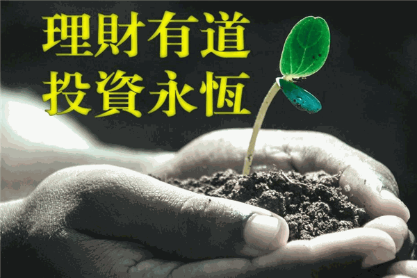 自然道理财加盟 自然道理财加盟