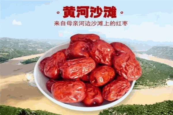黄河红枣干果店加盟