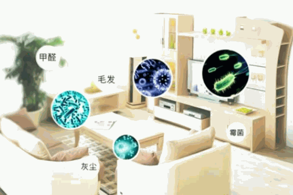 芝柏空气净化加盟 芝柏空气净化加盟