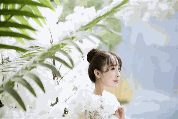 世华洛婚纱摄影加盟