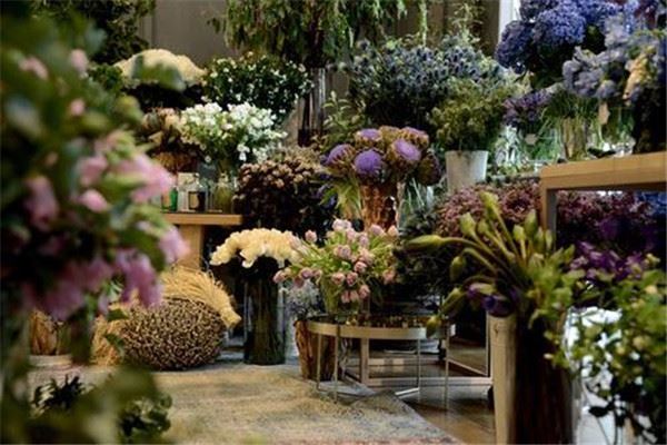 芙兰朵花店加盟