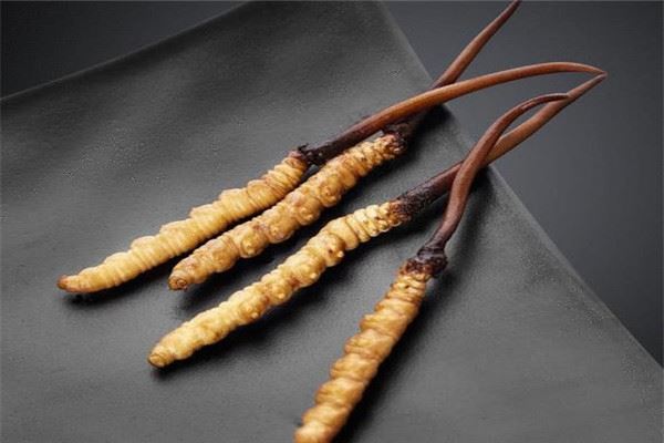 东阳光鲜草加盟