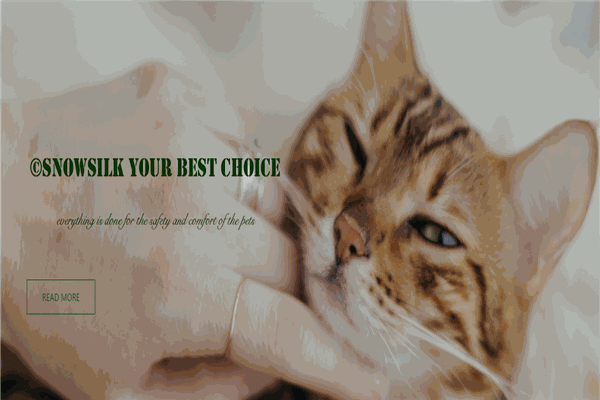 丝诺雪宠物店加盟