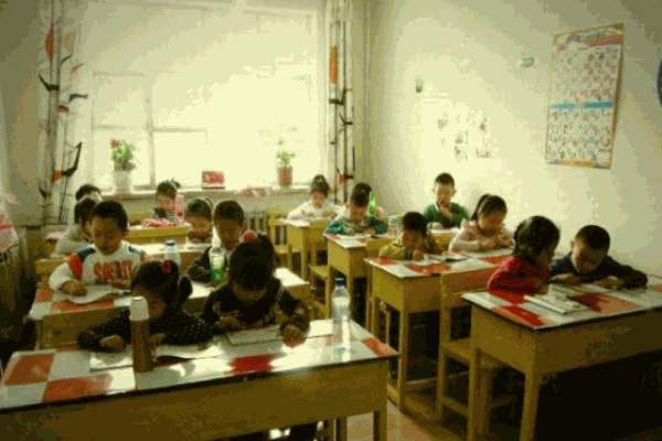 龙脊识字阅读作文加盟