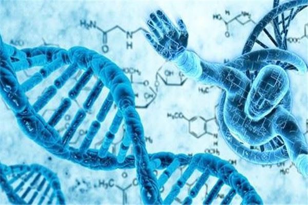 华生基因检测加盟 华生基因检测加盟
