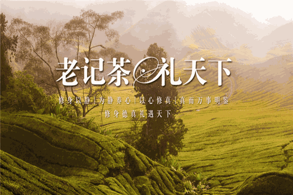 老记大红袍茶叶加盟