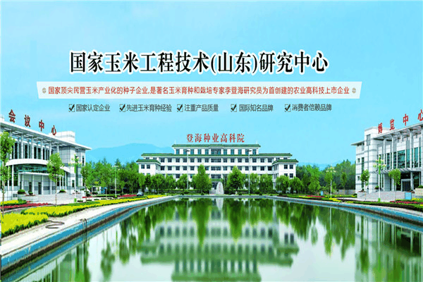 登海食品加盟 登海食品加盟