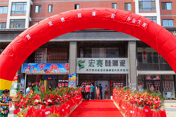 宏赛硅藻泥加盟