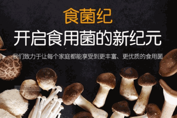 食菌纪加盟