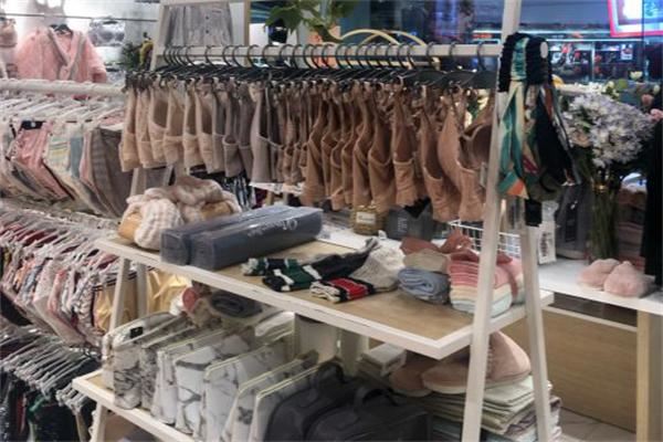 男人标准内衣加盟