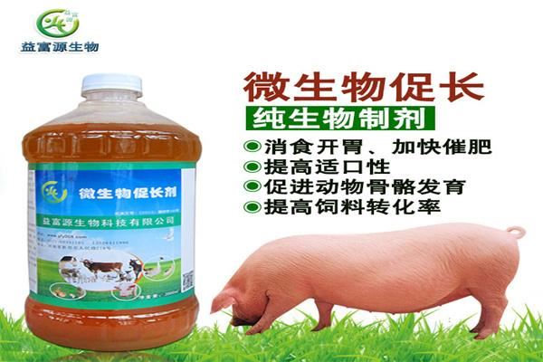 益富源养殖加盟