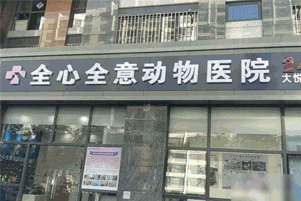 全心全意连锁动物医院加盟