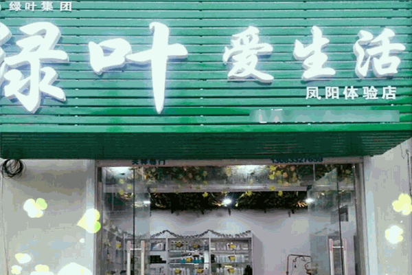 绿叶爱生活的日用品加盟