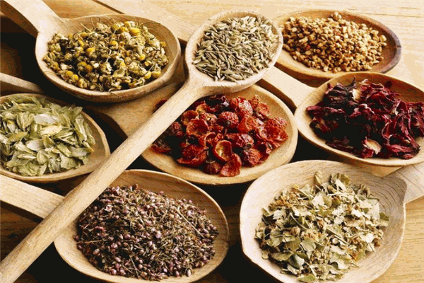 阳光百度中草药加盟