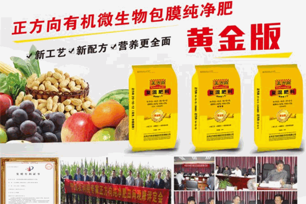 正方向纯净肥加盟