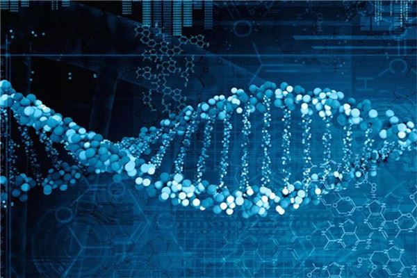 中康耀腾基因检测加盟