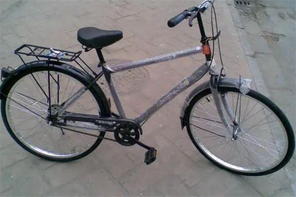 金狮自行车加盟