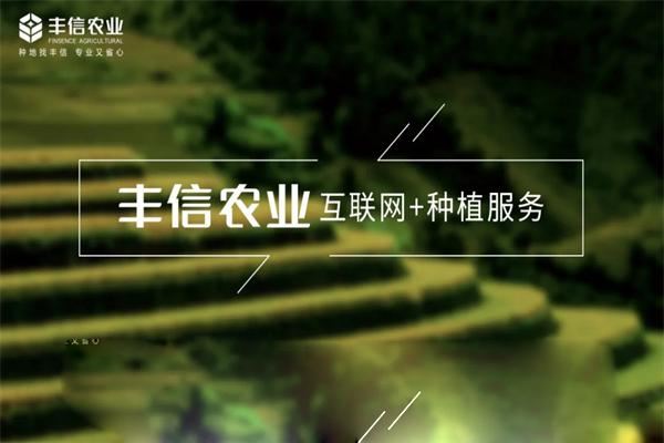 丰信农业加盟