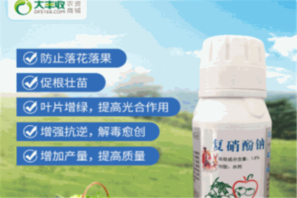 大丰收农资加盟