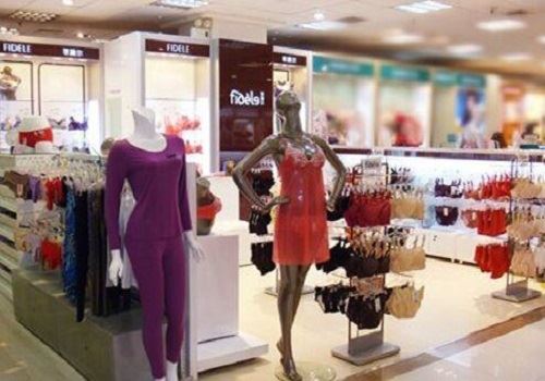 菲黛尔内衣加盟