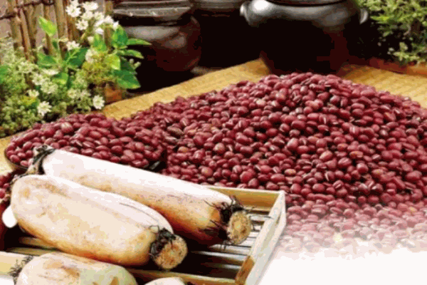 荷仙莲藕加盟 荷仙莲藕加盟