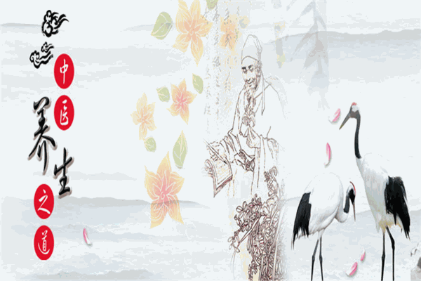 宋太医小儿推拿加盟 宋太医小儿推拿加盟