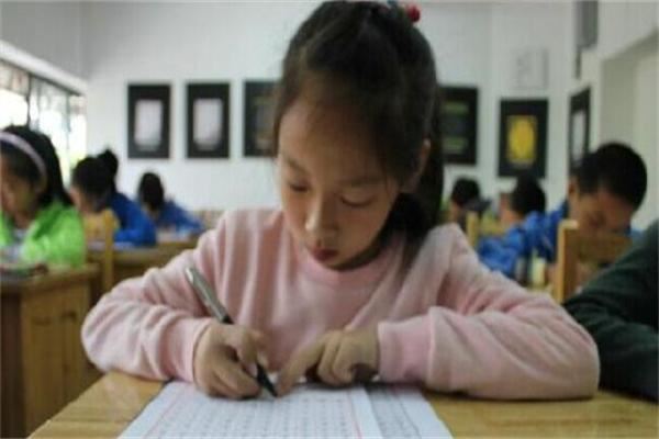 童心园作文加盟 童心园作文加盟