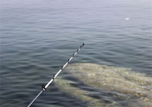 凯吉岛渔具加盟 凯吉岛渔具加盟