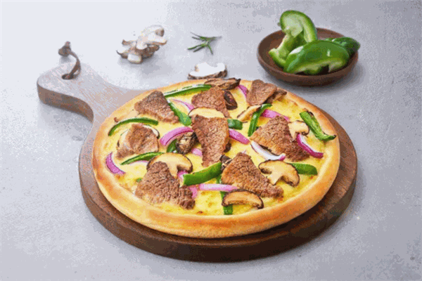 西雅特伊比萨加盟