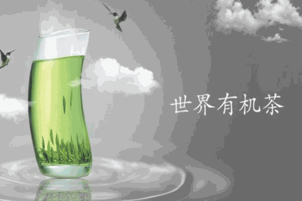 新安源有机茶加盟