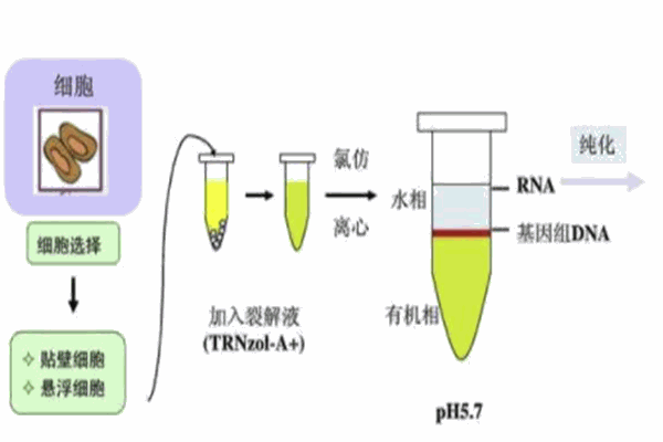富华生物科技加盟
