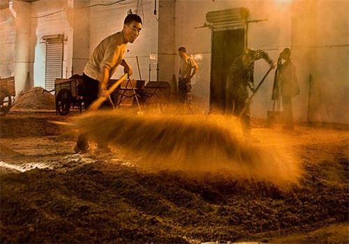 谷养康纯酿酒加盟