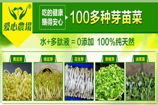 爱心农场芽苗菜加盟