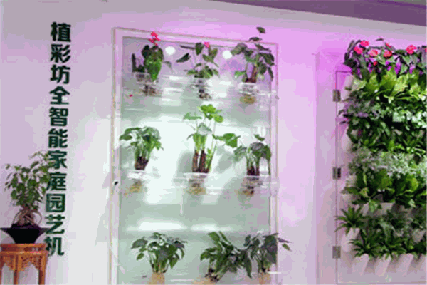 植彩坊园艺加盟