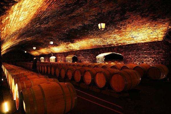 摩拉维亚帕西菲酒庄加盟