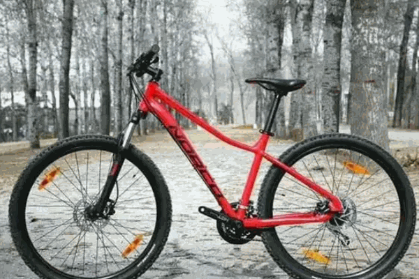 诺客自行车加盟