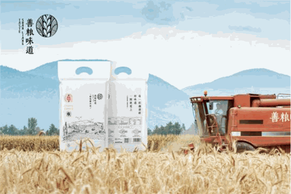 善粮味道加盟