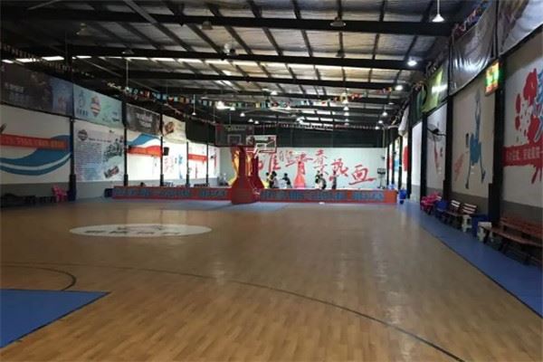 雄狮体育篮球游泳综合培训馆加盟
