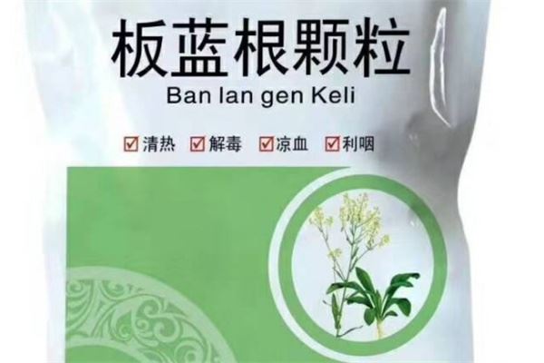 蓝根加盟 蓝根加盟