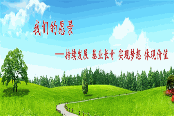 吉利光大包装加盟