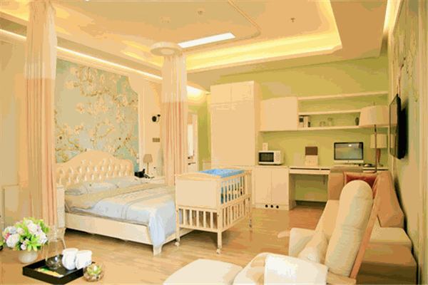 家传人文月子会所加盟