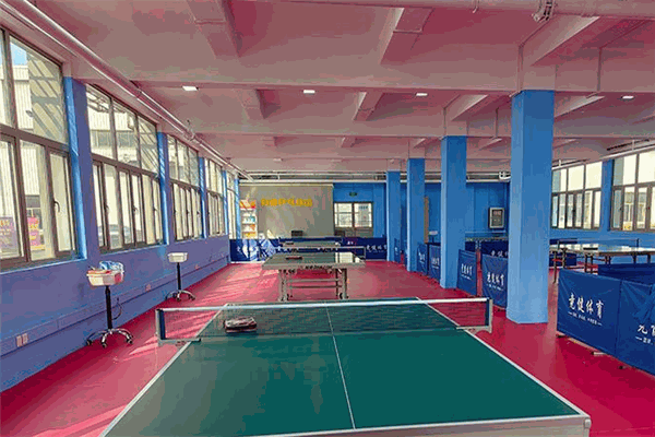 星光乒乓球培训俱乐部加盟