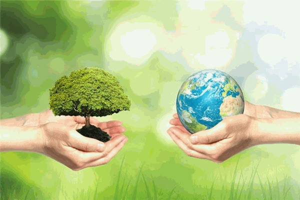 汤臣诺尔环保加盟