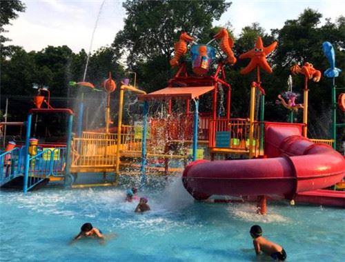 娃娃鱼游乐儿童乐园加盟 娃娃鱼游乐儿童乐园加盟