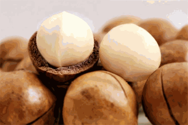 悦丰干果行加盟