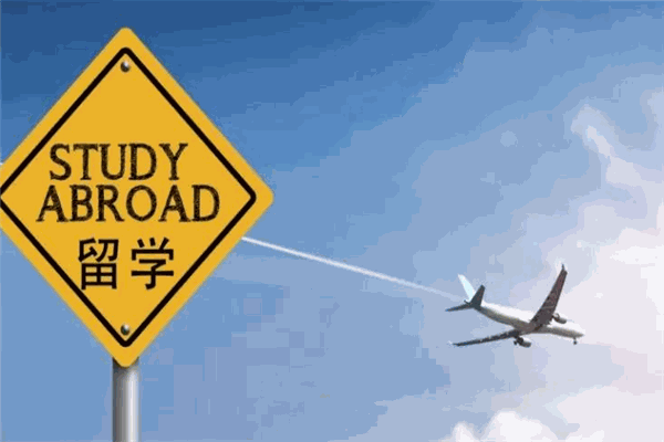 若比邻教育加盟